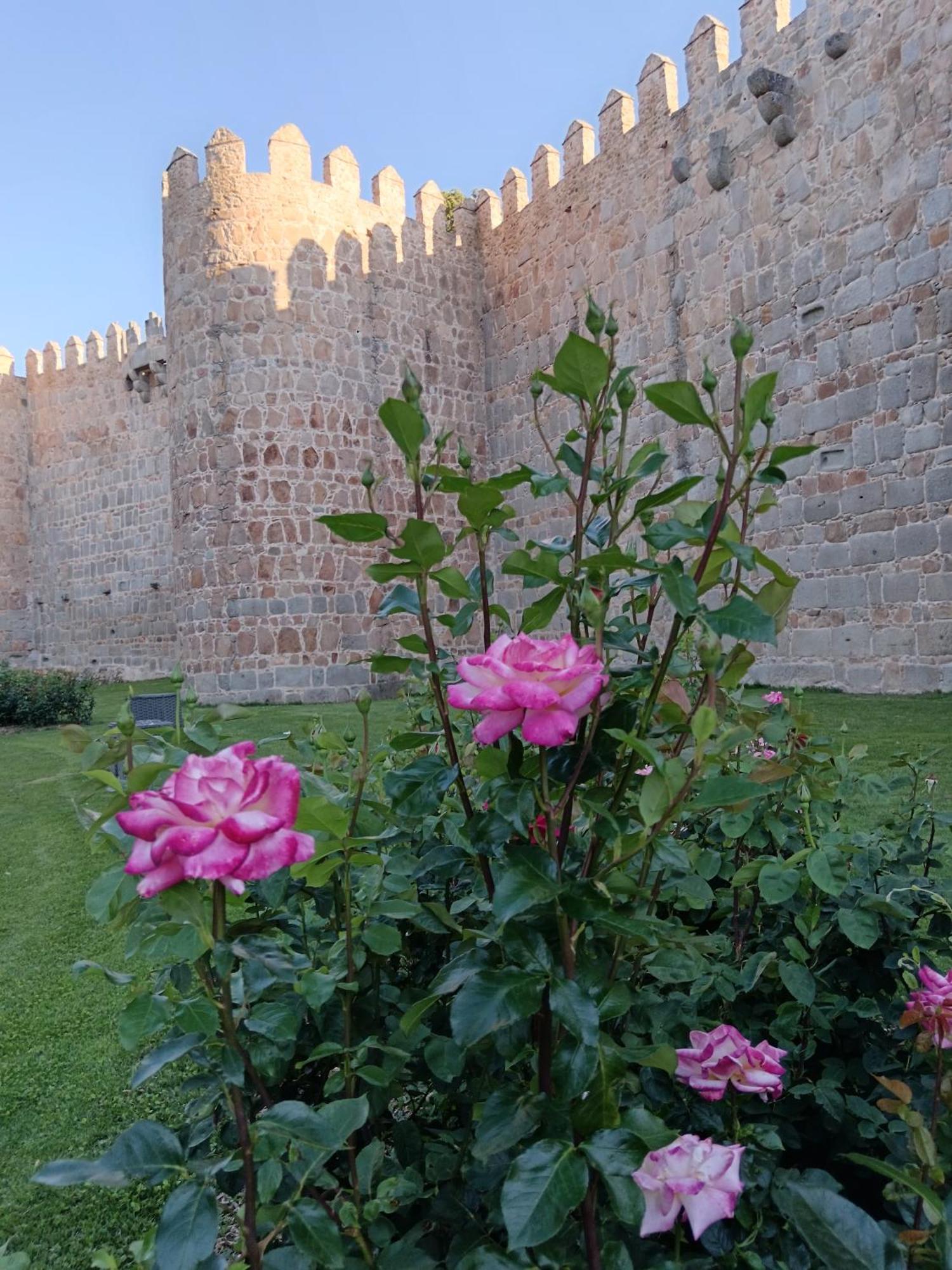 Hotel Don Carmelo Ávila Екстериор снимка